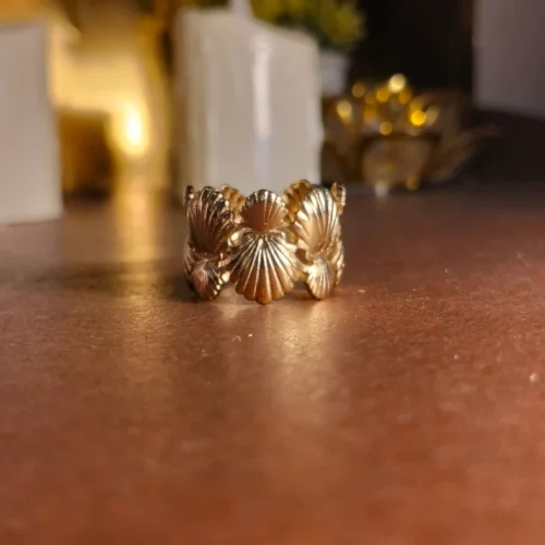 Stainless steel Shell double Shape Ring | With Ring-box