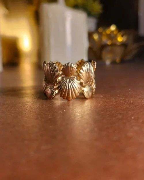 Stainless steel Shell double Shape Ring | With Ring-box